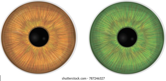 Collection of decorative eye irises