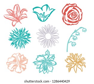 Collection of decorative flowers, chamomile, rose, Lily, Lily of the valley, Daisy,  campanula, wild and garden  flowers, sketch silhouette pastel color isolated on white . Vector illustration 