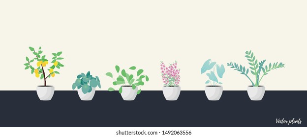 Collection of decorative houseplants isolated. Bundle of trendy plants growing in pots or planters. Set of beautiful natural home decorations. Flat colorful vector illustration