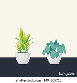 Collection of decorative houseplants isolated. Bundle of trendy plants growing in pots or planters. Set of beautiful natural home decorations. Flat colorful vector illustration