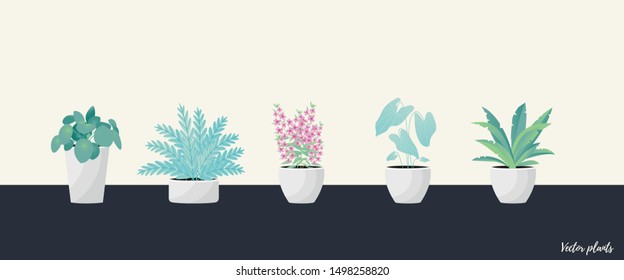 Collection of decorative houseplants isolated. Bundle of trendy plants growing in pots or planters. Set of beautiful natural home decorations. Flat colorful vector illustration