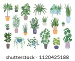 Collection of decorative houseplants isolated on white background. Bundle of trendy plants growing in pots or planters. Set of beautiful natural home decorations. Flat colorful vector illustration. 