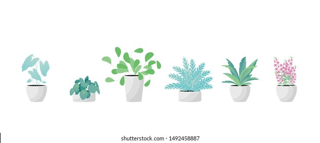 Collection of decorative houseplants isolated on white background. Bundle of trendy plants growing in pots or planters. Set of beautiful natural home decorations. Vector illustration