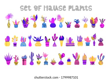 Collection of decorative houseplants isolated on white background.Bundle of trendy plants growing in pots or planters.Flat colorful vector illustration.Perfect for cards,templates,poster,cover,sticker