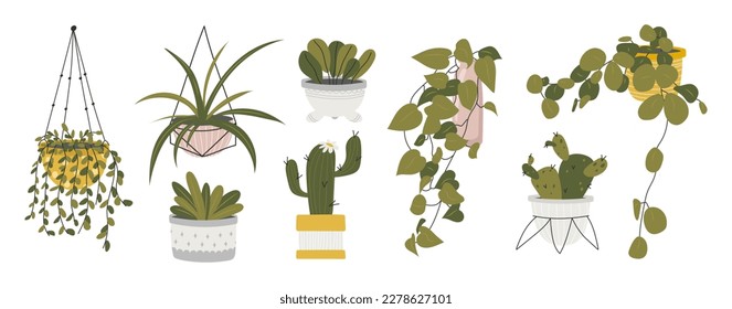 Collection decorative houseplants isolated white background  Bundle trendy plants growing in pots planters  Set beautiful natural home decorations  Flat colorful vector illustration 