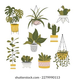 Collection decorative houseplants isolated