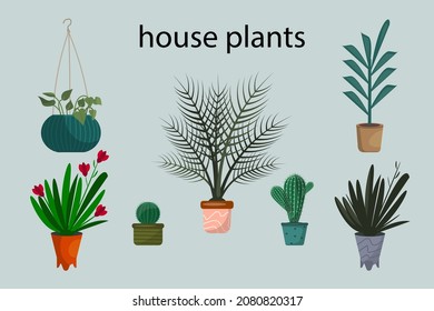 Colección de plantas decorativas. Montaje de plantas de moda cultivando en ollas. Montaje de ilustraciones de color plano de plantas interiores. Ilustración vectorial en estilo de dibujos animados planos