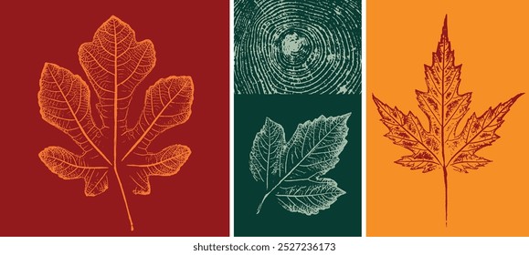 Collection of decorative leaf prints or leaf art. Monotone fall colors of green orange and red botanical leaf illustrations print.