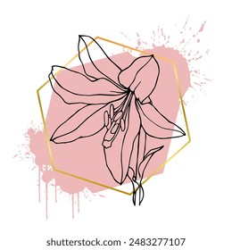 A collection of decorative, linear sketches of lily flowers with abstract spots, blots, strokes and golden frames. Vector graphics.