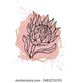 A collection of decorative, linear sketches of protea flowers with abstract spots, blots, strokes and golden geometric shapes. Vector graphics.
