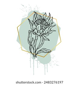 A collection of decorative, linear sketches of protea flowers with abstract spots, blots, strokes and golden geometric shapes. Vector graphics.