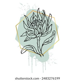 Una colección de bocetos lineales decorativos de flores de protea con manchas abstractas, manchas, trazos y Formas geométricas doradas. Vector gráfico.