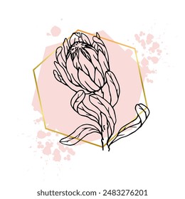 A collection of decorative, linear sketches of protea flowers with abstract spots, blots, strokes and golden geometric shapes. Vector graphics.