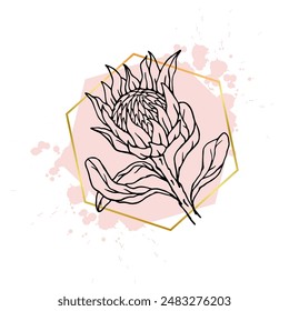 Una colección de bocetos lineales decorativos de flores de protea con manchas abstractas, manchas, trazos y Formas geométricas doradas. Vector gráfico.