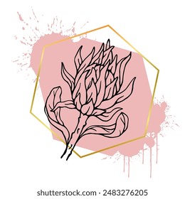 Eine Kollektion von dekorativen, geradlinigen Skizzen von Protea-Blüten mit abstrakten Flecken, Flecken, Strichen und goldenen geometrischen Formen. Vektorgrafik-Grafiken.