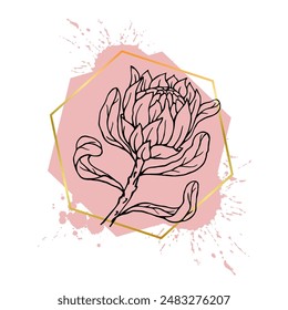 A collection of decorative, linear sketches of protea flowers with abstract spots, blots, strokes and golden geometric shapes. Vector graphics.