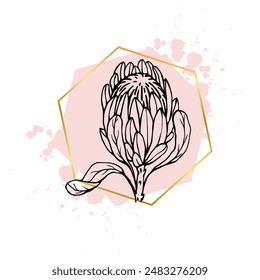 A collection of decorative, linear sketches of protea flowers with abstract spots, blots, strokes and golden geometric shapes. Vector graphics.