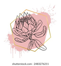 A collection of decorative, linear sketches of protea flowers with abstract spots, blots, strokes and golden geometric shapes. Vector graphics.