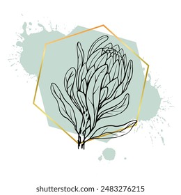Una colección de bocetos lineales decorativos de flores de protea con manchas abstractas, manchas, trazos y Formas geométricas doradas. Vector gráfico.