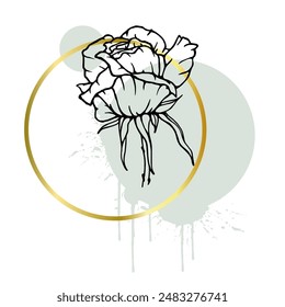 A collection of decorative, linear sketches of rose flowers with abstract spots, blots, strokes and golden frames. Vector graphics.