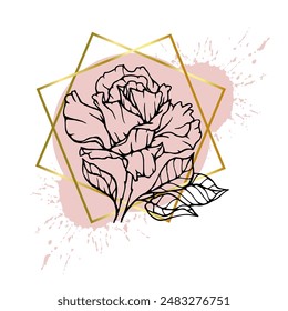 A collection of decorative, linear sketches of rose flowers with abstract spots, blots, strokes and golden frames. Vector graphics.