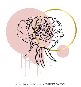 A collection of decorative, linear sketches of rose flowers with abstract spots, blots, strokes and golden frames. Vector graphics.