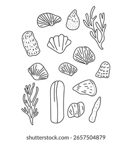 Collection of decorative marine shells for beach-themed design. Minimalist contour shell set.