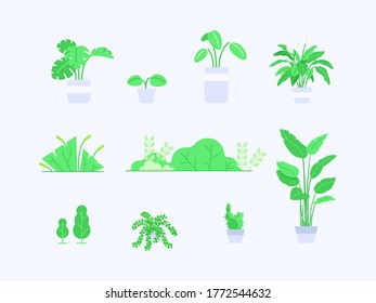 colección de plantas decorativas al estilo de ilustración plana