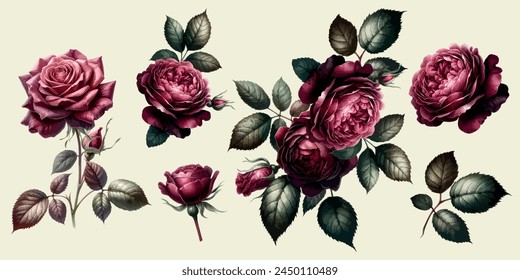 Collection of deep red roses with leaves