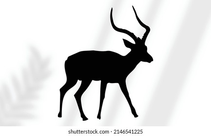Collection of deer silhouettes set on white background