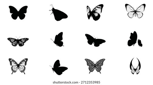 Collection of delicate butterfly silhouettes and a single colorful monarch against a white background