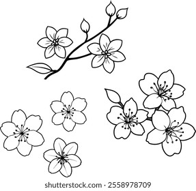 Collection of Delicate Cherry Blossom Line Art Vector