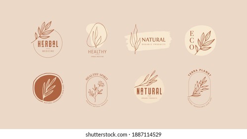 Collection of delicate hand drawn logos and icons of organic food, farm fresh and natural products, elements collection for food market, organic products promotion, healthy life and premium quality