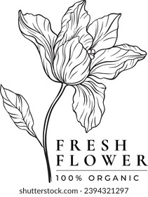 Collection of delicate hand drawn logos and icons of nature, beauty products, organic food, farm fresh and natural products, elements collection for beauty products, organic products, healthy 