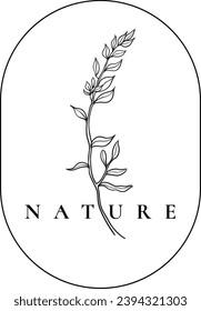 Collection of delicate hand drawn logos and icons of nature, beauty products, organic food, farm fresh and natural products, elements collection for beauty products, organic products, healthy 