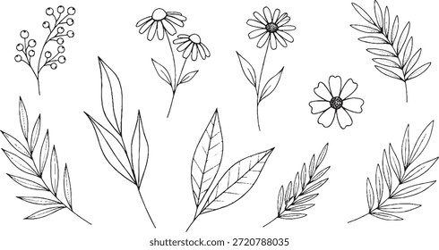 Uma coleção de delicados elementos botânicos desenhados à mão, incluindo flores e folhas em um estilo de esboço.