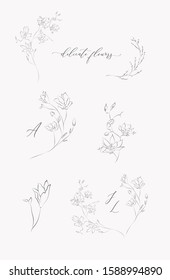 Collection of delicate line drawing vector floral wreaths frames. hand drawn delicate flowers, branches, leaves, blossom. Botanical illustration. Leaf logo