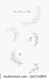 Collection of delicate line drawing vector floral wreaths frames. hand drawn delicate flowers, branches, leaves, plants, herbs. Botanical illustration. Leaf logo. Wedding invitation stationary