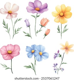 Uma coleção de delicadas ilustrações de flores de aquarela em rosa, roxo, amarelo e azul, isoladas em um fundo branco, perfeito para desenhos florais.
