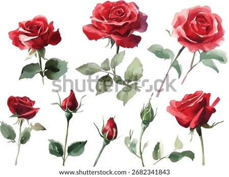A collection of delicate watercolor paintings featuring lush red roses in full bloom and tightly closed buds