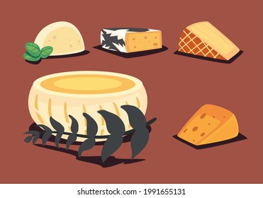 colección de deliciosos tipos de quesos