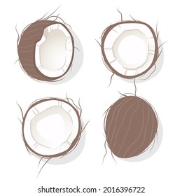Collection of delicious coconuts, isolated on white background. Set of fresh whole and half coconut and slices isolated on white background, top view. Modern vector illustration in flat style.