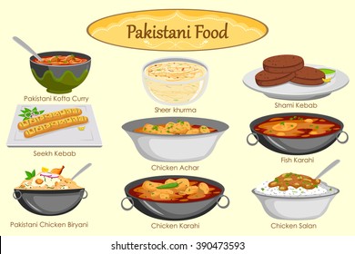 Collection of delicious Pakistani food in vector