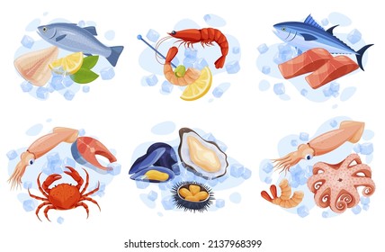 Colección de deliciosos productos de mariscos que sirven en cubos de hielo, limón, hierba de menta vectorial ilustración plana. Menú del restaurante salmón, gambas, atún, cangrejo, calamar, erizo de mar, ostra, mejillón y pulpo