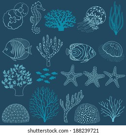 Collection of design elements: corals, fishes,  jellyfishes, sea horse and sea stars.