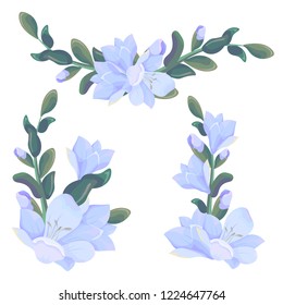 A collection of design elements from freesia flowers. Corners, borders and bouquets of freesia. All elements are isolated.