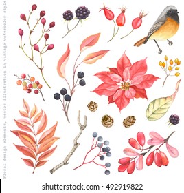 Collection of design floral elements, Redstart bird, flower Poinsettia, Blackberry, Barberry, Rose Hips, pine cones, leaves and  autumn branches. Vector illustration in vintage style.