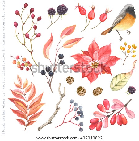 Similar – Image, Stock Photo Red dried flowers and old photos
