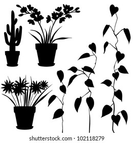 collection, for designers, plant vector