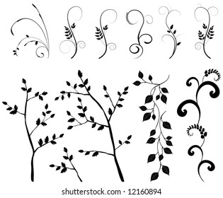 collection, for designers, plant vector
